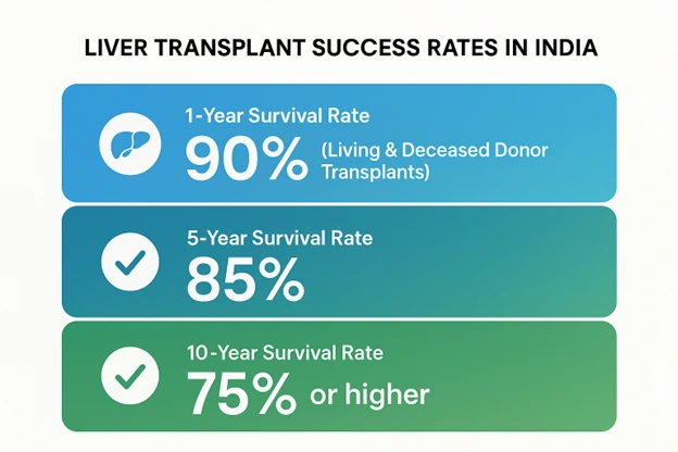 Liver Transplantation in India A Growing Trend